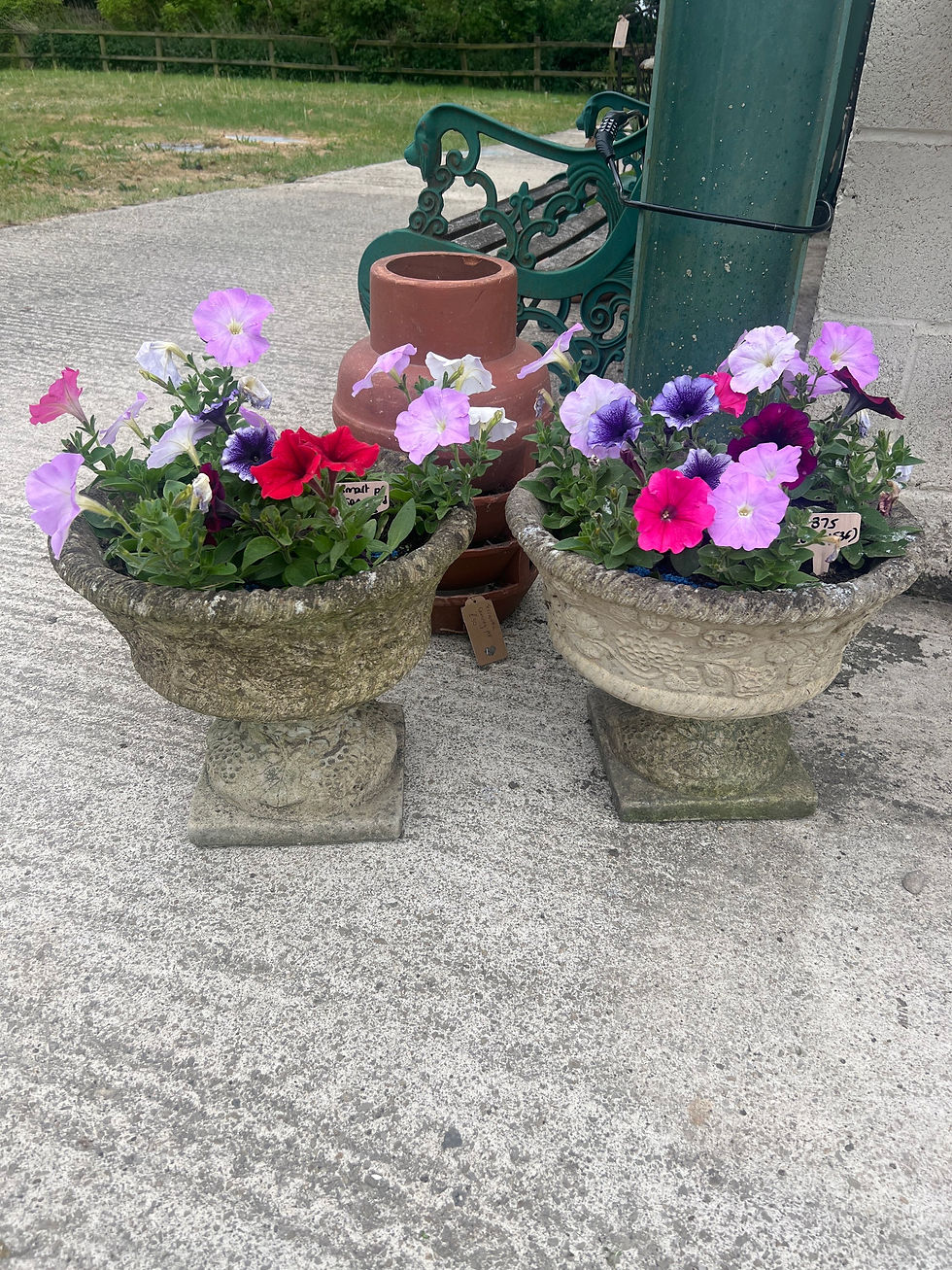 A Pair of Smart Sandford Stone Planters on Plinths