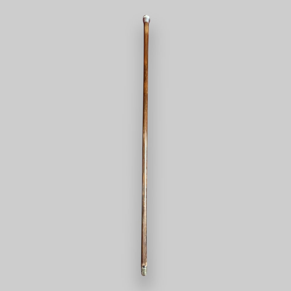 A Late C19th Walking Stick