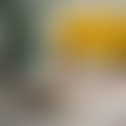 How to Medicate Your Pet Without the Meltdown: Tried & True Techniques