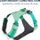Thumbnail: Ruffwear, Hi & Light, Everyday Lightweight Dog Harness, Trail Running, Walking,