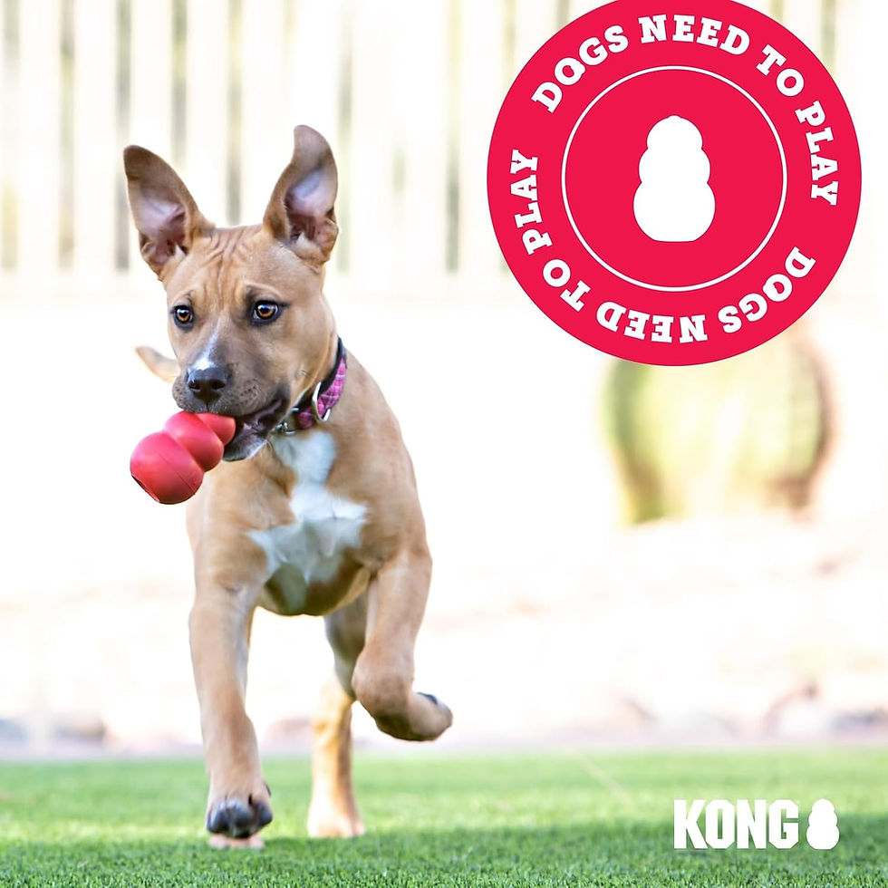 Thumbnail: KONG Classic Stuffable Dog Toy - Fetch & Chew Toy for Dogs - Treat-Filling Capa