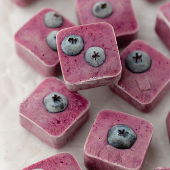 Frozen Blueberry Yogurt Treats for Dogs (No-Bake Recipe!) 🐾🍦