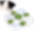 Black and white cat interacts with a white puzzle feeder with green elements, searching for treats. The mood is curious and playful.