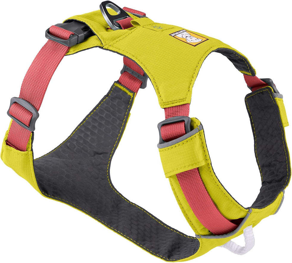 Thumbnail: Ruffwear, Hi & Light, Everyday Lightweight Dog Harness, Trail Running, Walking,