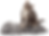 Gray tabby cat sitting on a textured gray rug, tilting its head curiously. The background is plain white.