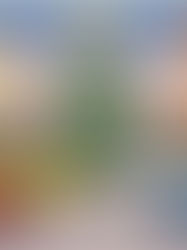 Veselé Vánoce a šťastný nový rok