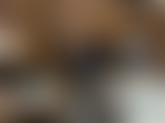 Prepping for Moose Captures: A Behind-the-Scenes Look