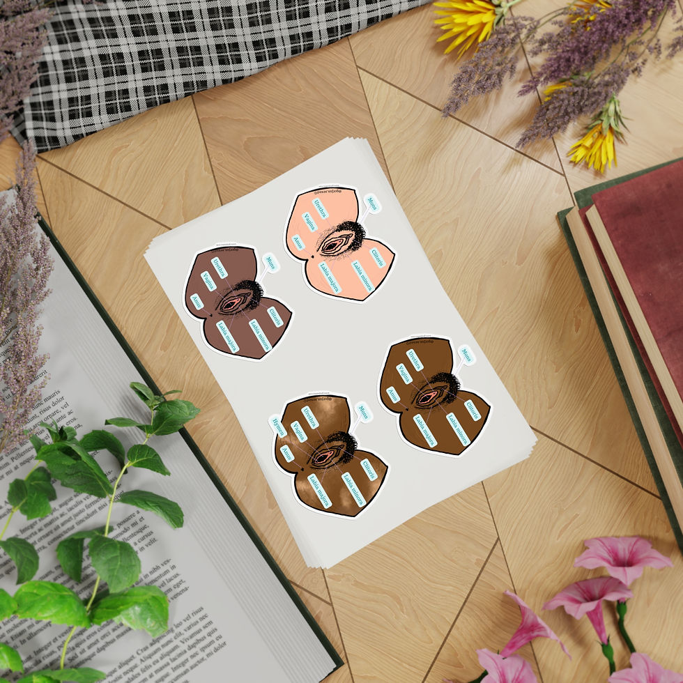 Thumbnail: AFAB External Anatomy Sticker Sheet Bundle, 5pcs