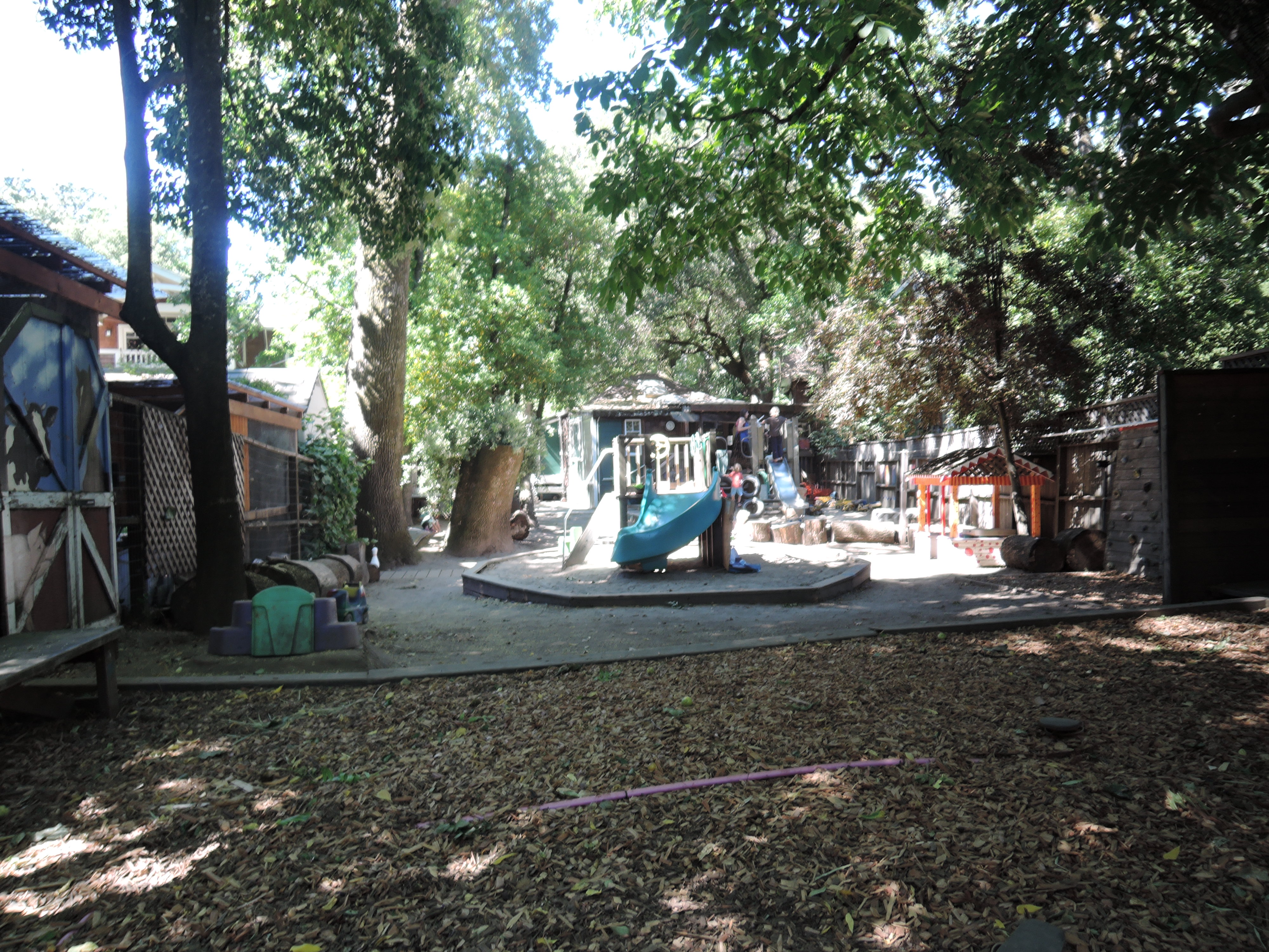 San Anselmo Cooperative Nursery School