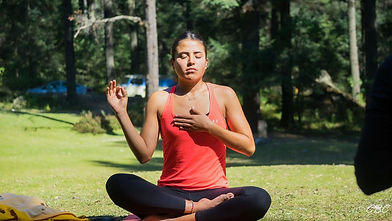 57aec9b7-f2a6-4913-a8d6-9c5039cb78a7 4.JPG