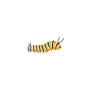 19.png