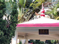 SSC_KwokHong