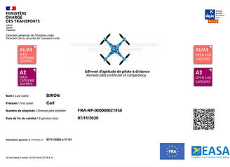 Brevet d'aptitude de Pilote à distance Catégorie OPEN A1-A2-A3_Carl BIRON.jpg