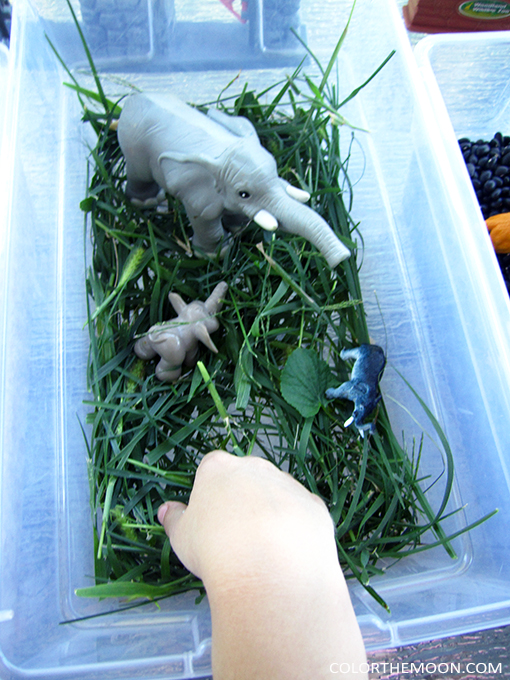 SIMPLE TO MAKE ZOO SENSORY BINS
