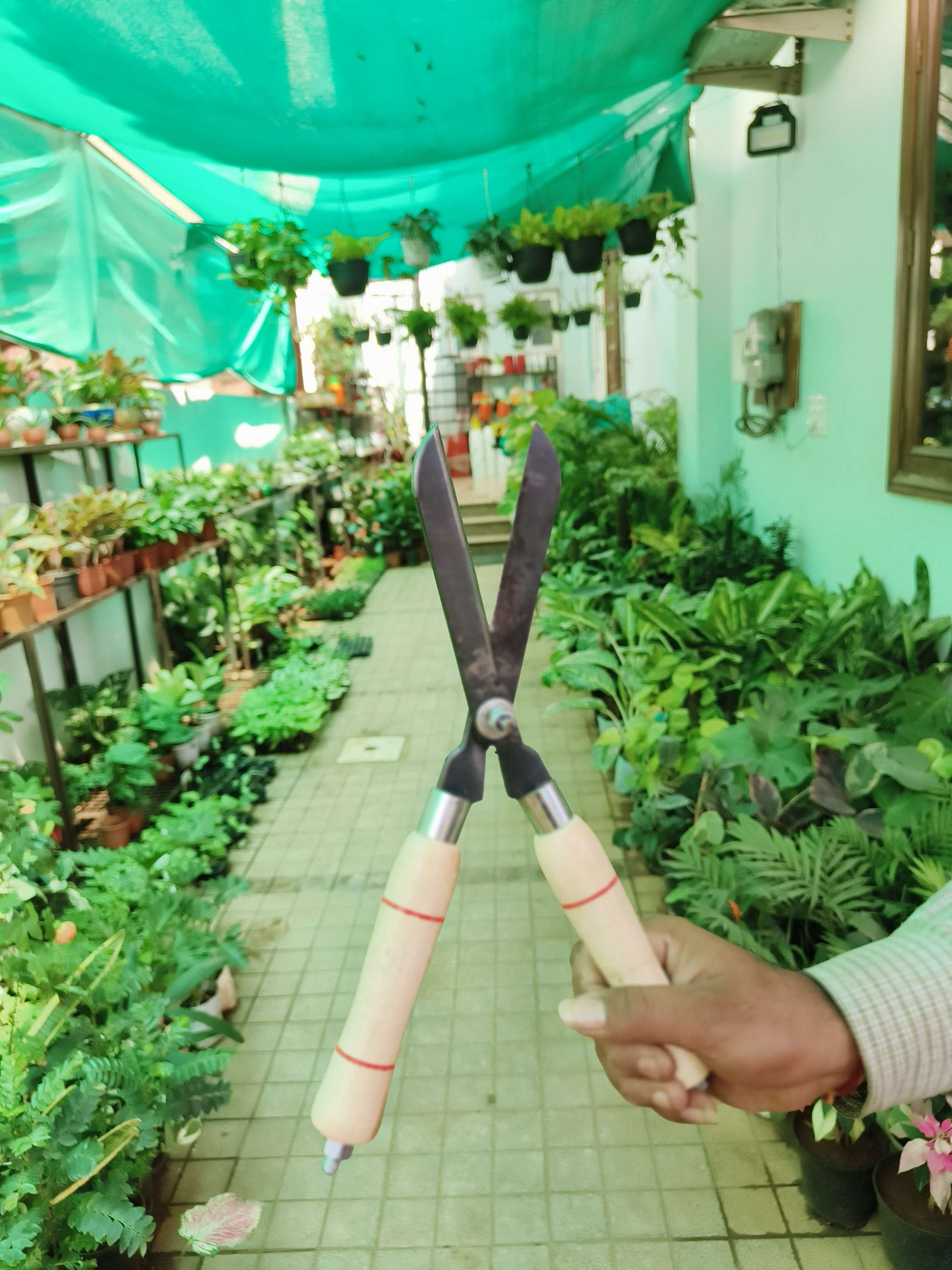 Multi purpose - Garden Cutter/कैंची 
