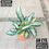 Thumbnail: Aglaonema Silver Bay (with 6 inch pot) 