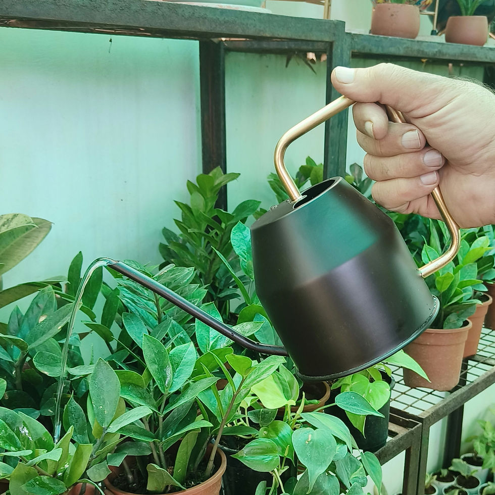 Thumbnail: Ikea - Urban Watering Can (metal, 1 litre)