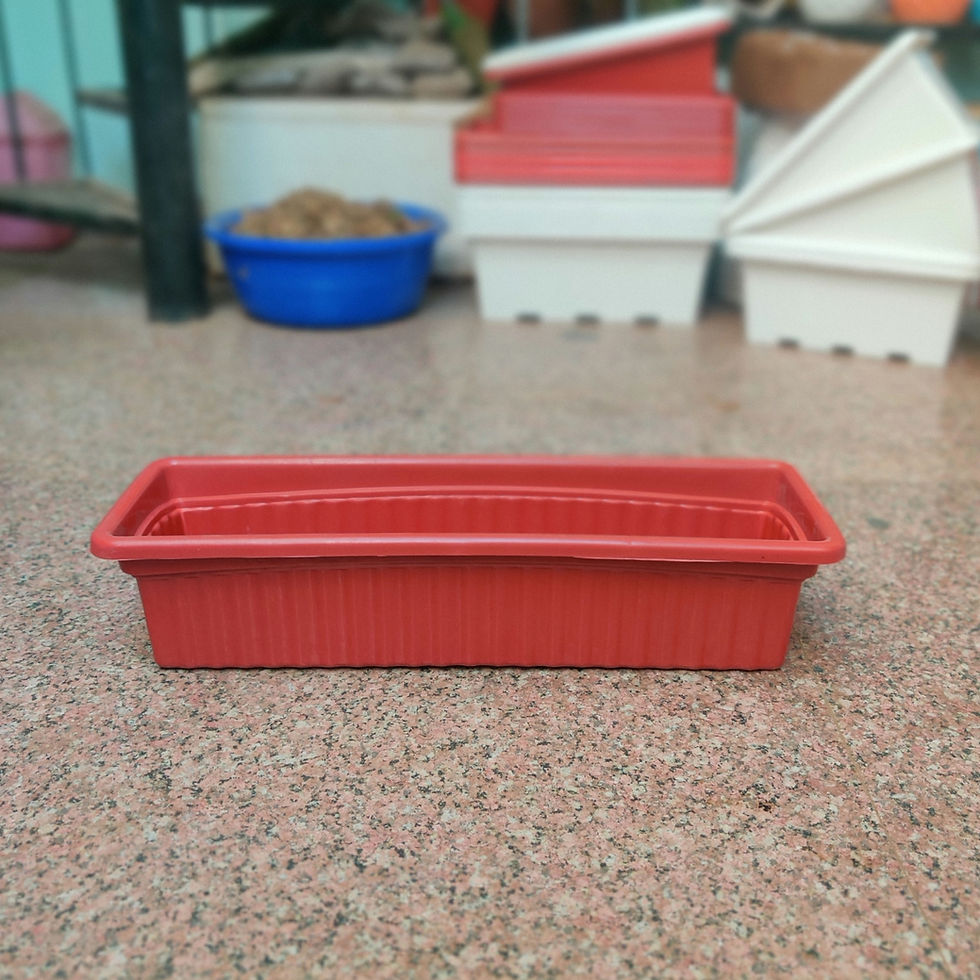 Thumbnail: Long Plastic Planters - Slim (size: 24x8 inch)