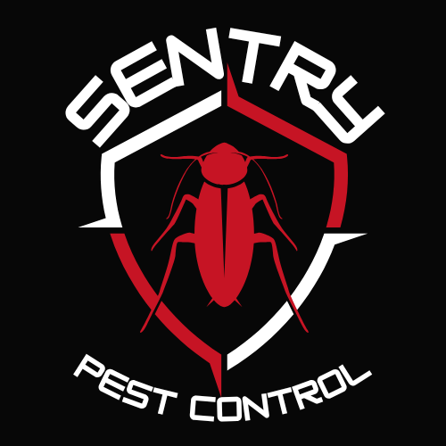 Black background logo.png