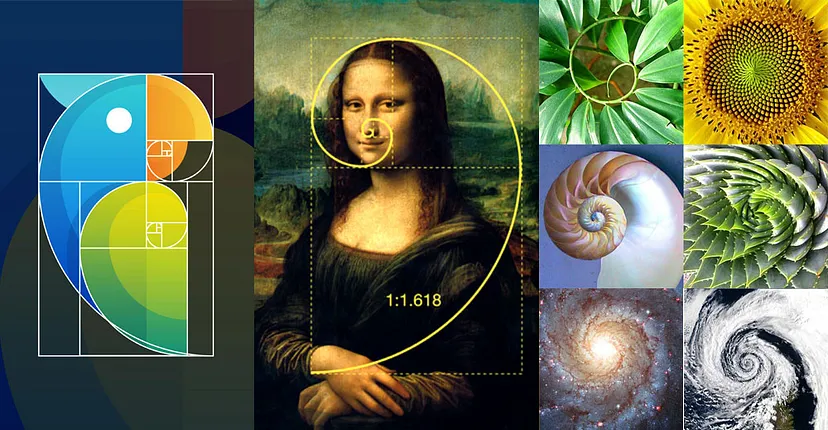 The Merits and Limits of the Fibonacci Craze