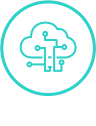 cusotom-platform.png.webp