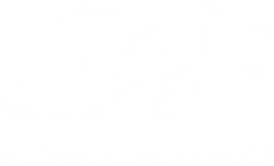 sajelogo-300x182.png.webp