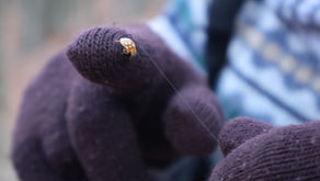 La pedagogía del error, o eso que no te dará una máquina.