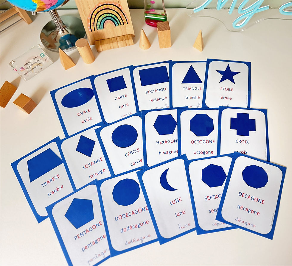 Miniature : 16 cartes des formes nomenclature Montessori 