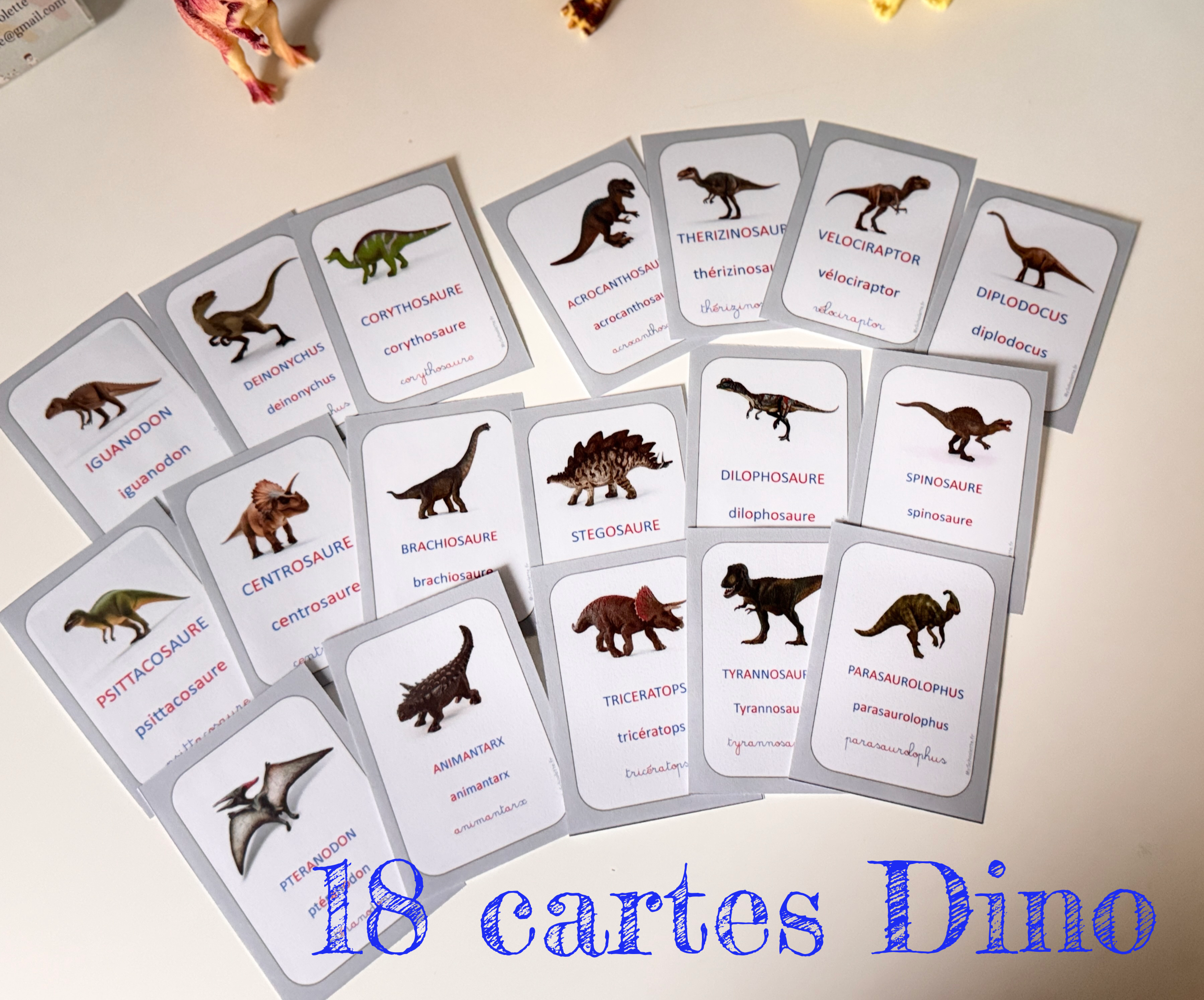 18 cartes Dinosaures nomenclature Montessori