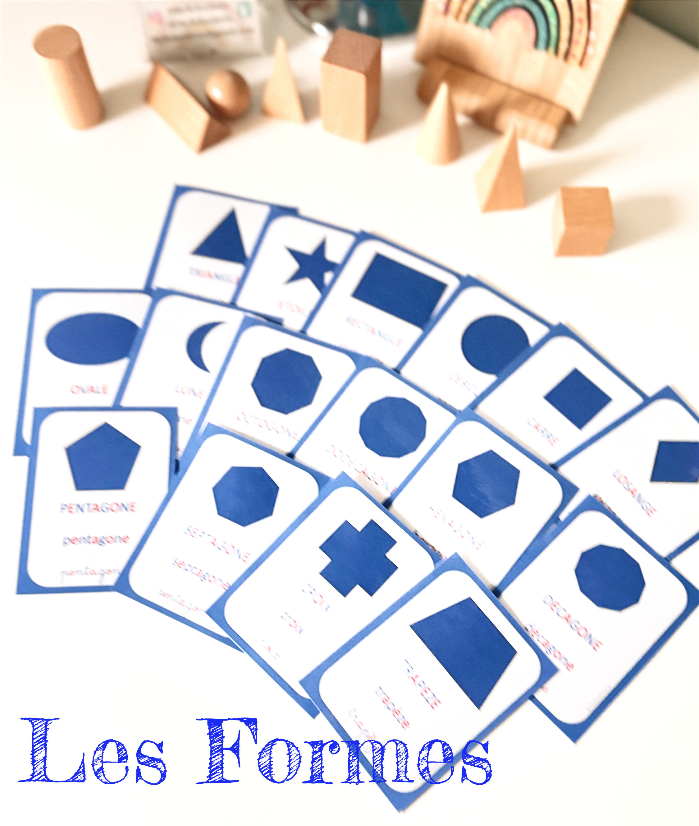 16 cartes des formes nomenclature Montessori 