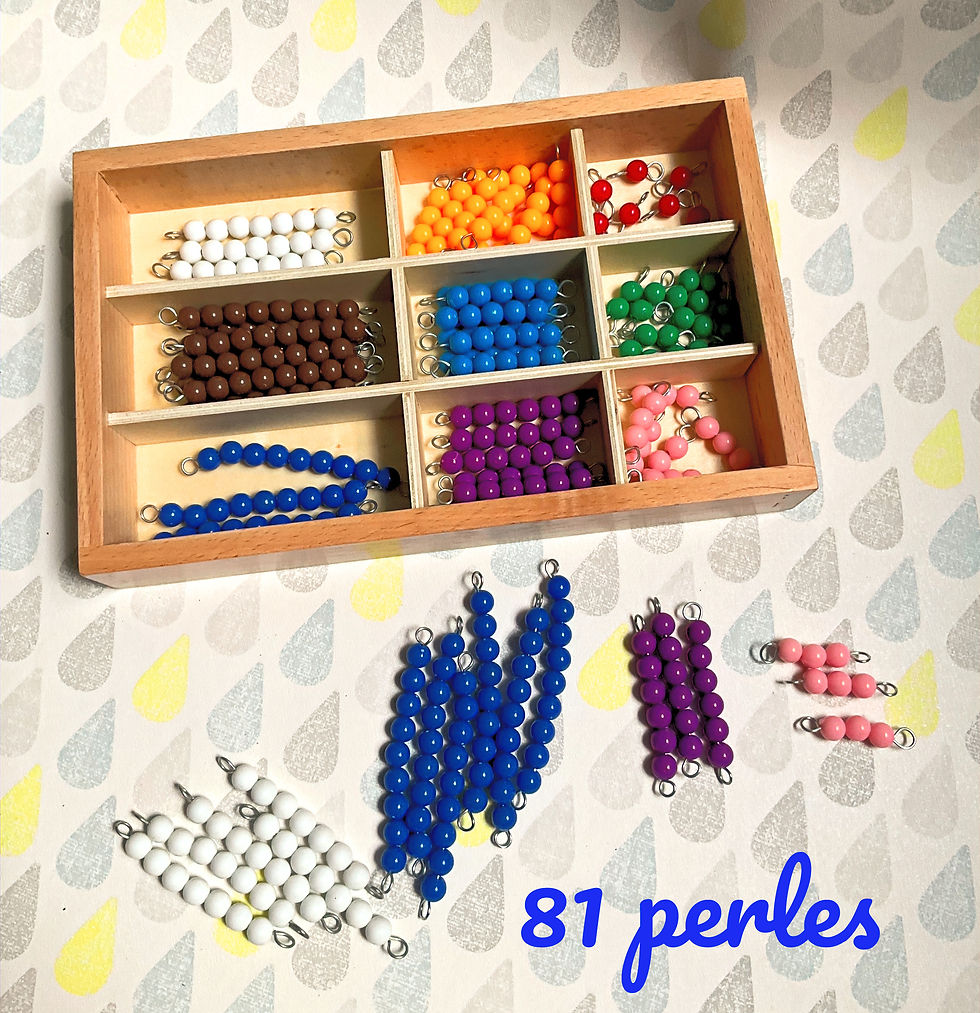 Miniature : Boite et  Perles de Numération Montessori