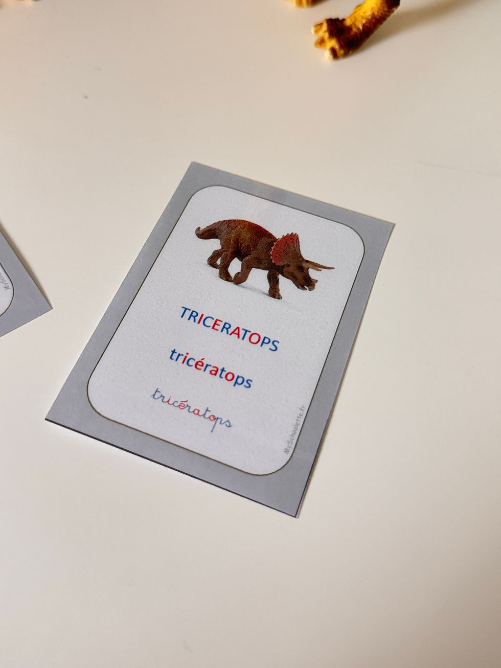 Miniature : 18 cartes Dinosaures nomenclature Montessori 