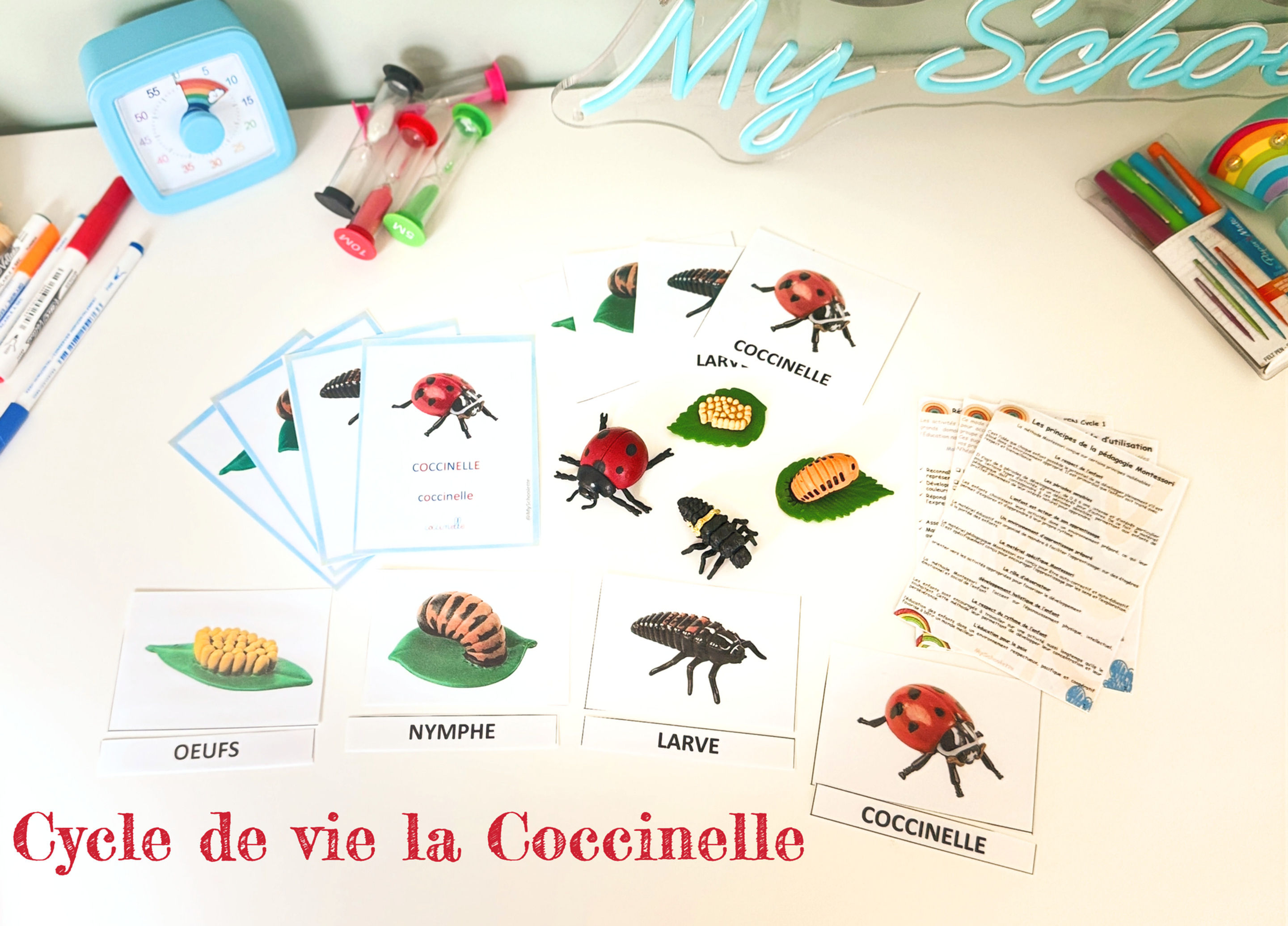 🐞Kit langage et éveil du cycle de vie de la Coccinelle🐞