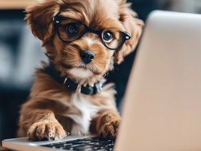 Welcome to Life Rooted Pets Blog - Where Pets and Pet Parents come First!