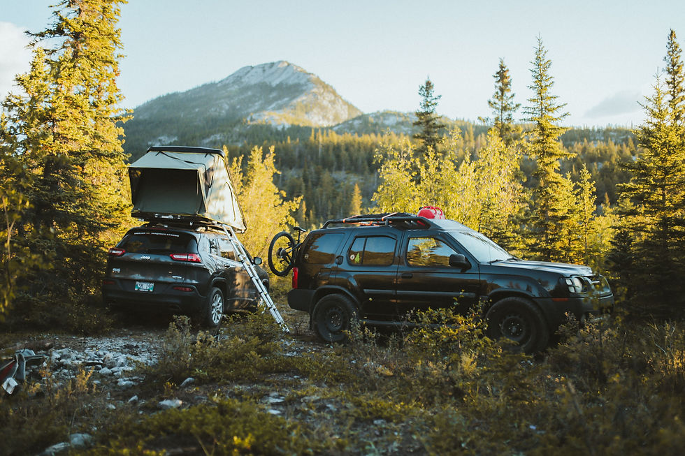 Two camping SUVs with a rooftop tent and bike in a pine forest, mountains behind, warm golden light, peaceful outdoors scene