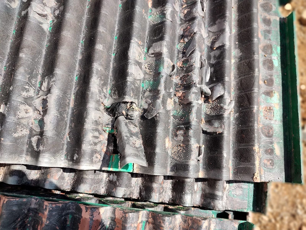 Bernardo screen `.jpeg