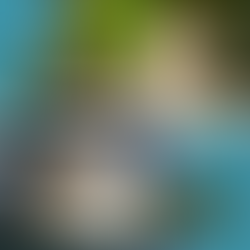 Don't Stop Repeating: Tropes & Retellings