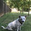Thumbnail: Central California SPCA