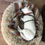 Thumbnail: Central California SPCA