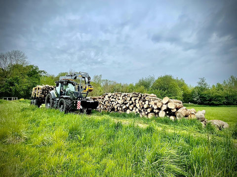 stacking-tree-logs