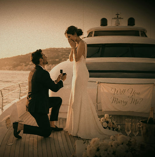 Bow Proposal_edited_edited_edited.jpg