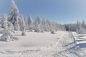Verschneite Winterlandschaft im Erzgebirge bei Lauter-Bernsbach – Natur und Regeneration