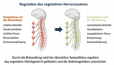 Regulation des vegetativen Nervensystems bei Neurodermitis, Psoriasis und chronischen Hauterkrankungen