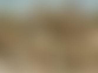 Les Guerres de Religions