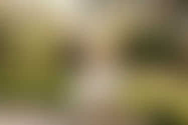 Reportaje de Comunión en Elorrio