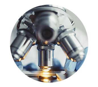 Microscopia - curso de microscopia - microlab.png