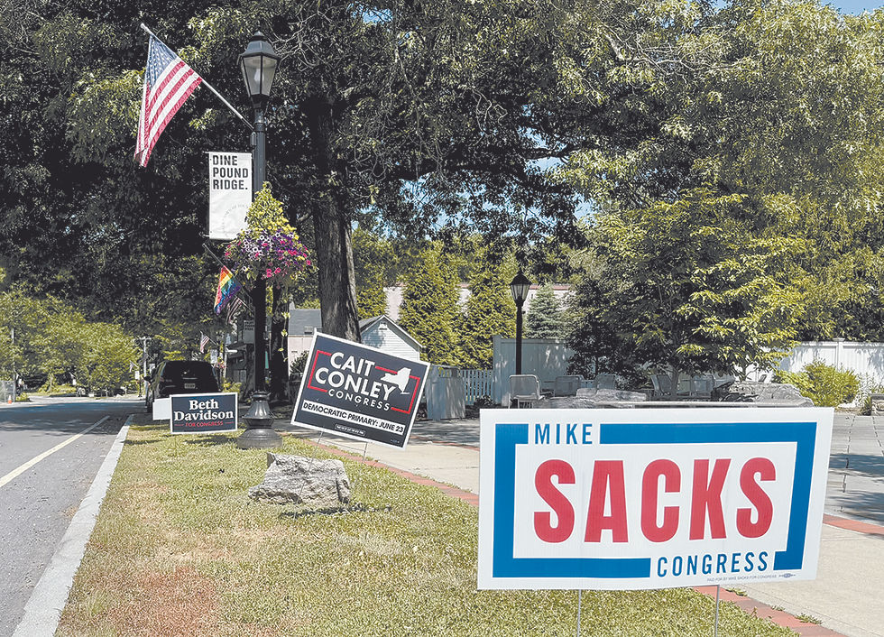 Campaign signs line Westchester Avenue in Pound Ridge. THANE GRAUEL PHOTO