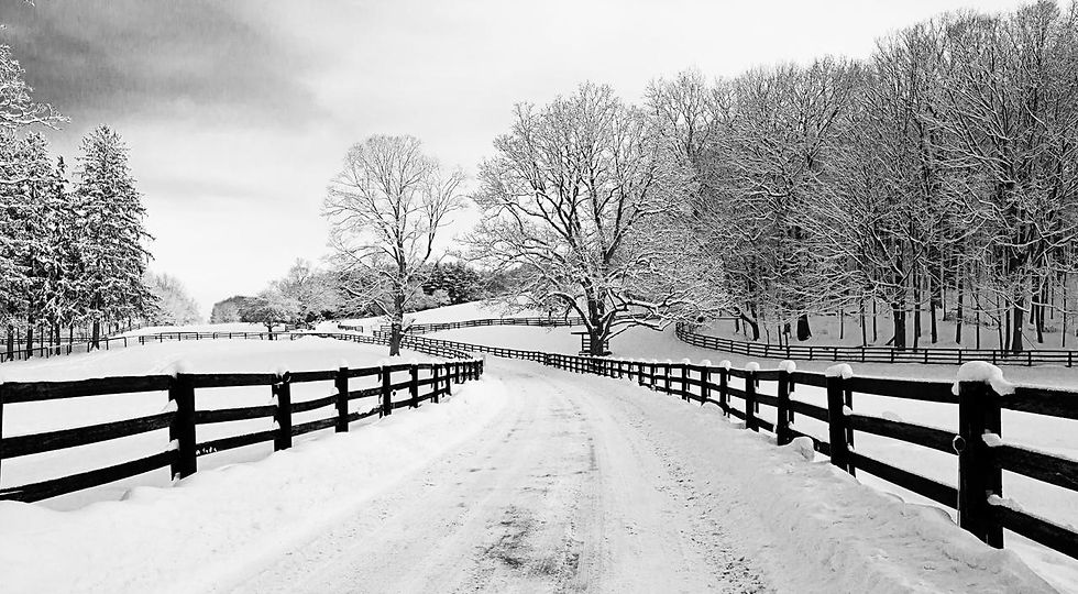 Photography club getting exposure at Pound Ridge Library