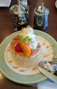 こんなの初めてツアー♥