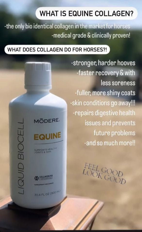 White Modere Equine Liquid Biocell bottle on a table outdoors, with promo text about horse collagen and Feel good look good.